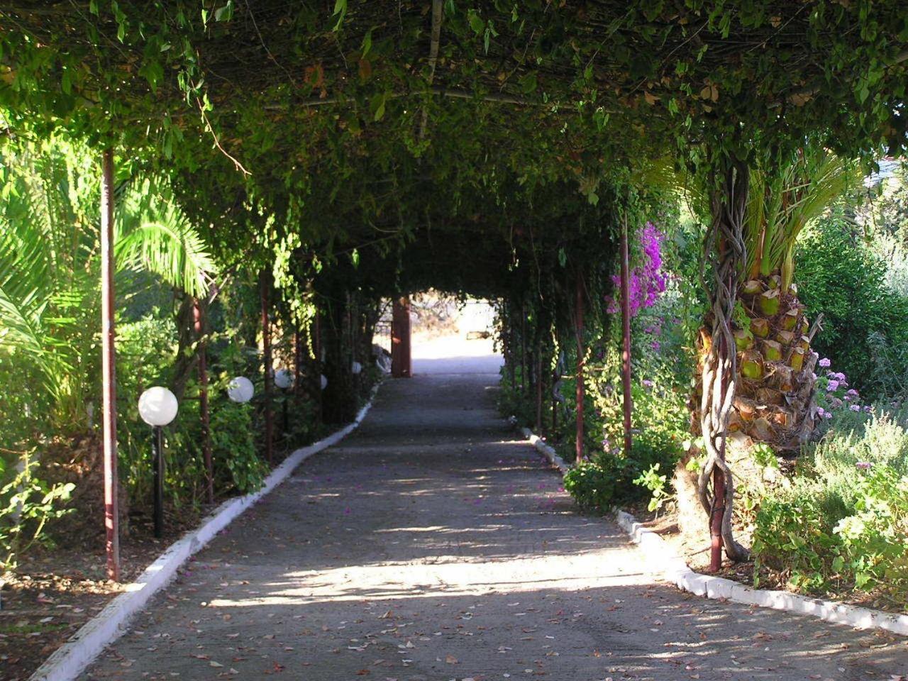 Knossos Aparthotel Pánormosz Kültér fotó