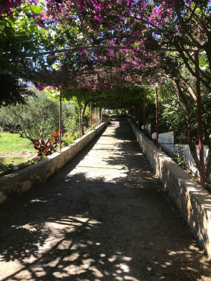 Knossos Aparthotel Pánormosz Kültér fotó